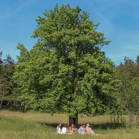 Lansztuk / Dom Na Warmii